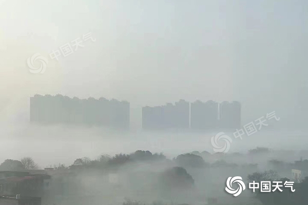                     湖南新一轮降水今夜“上线” 雨雾加持扰交通                    1