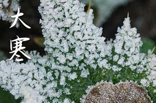 大寒节气祝福问候语