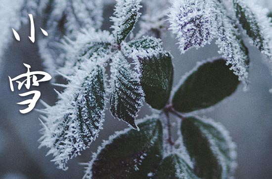 暖心小雪祝福语15篇