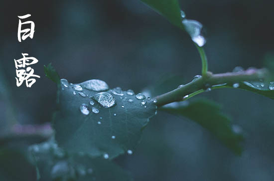 九月白露时节唯美说说