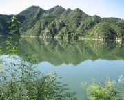 清水湖村